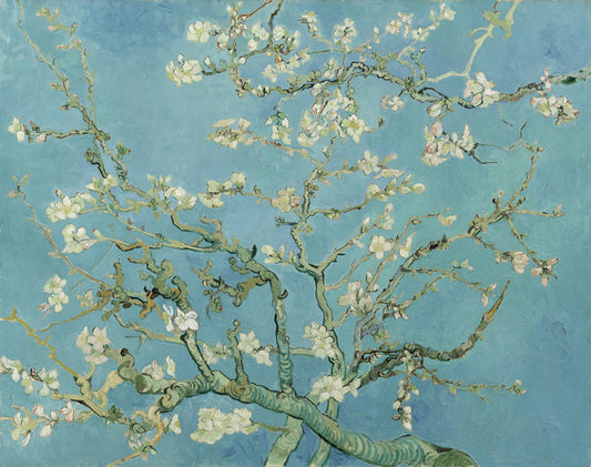  Vincent Van Gogh  - Blossoming Almond Tree